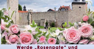 Werde ein Rosenpate!
